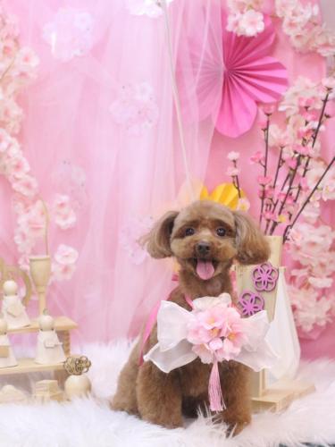 20250312永遠ちゃん